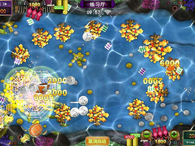 摇钱树信誉星力